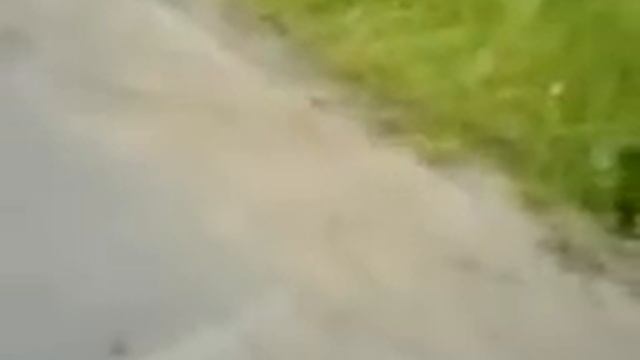 гаишник на Мотоблоке смотреть онлайн