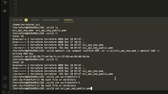 Terraform: Cum sa iti automatizezi complet Infrastructura in Oracle Cloud смотреть онлайн