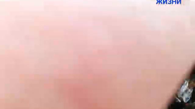 МАРКИРОВКА ПЧЕЛИНОЙ МАТКИ смотреть онлайн