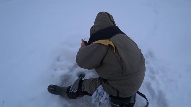 РОТАН "ГОЛОВЕШКА" Съедобная резина не уступает животным насадкам. Рыбалка в Кемеровской области. смотреть онлайн