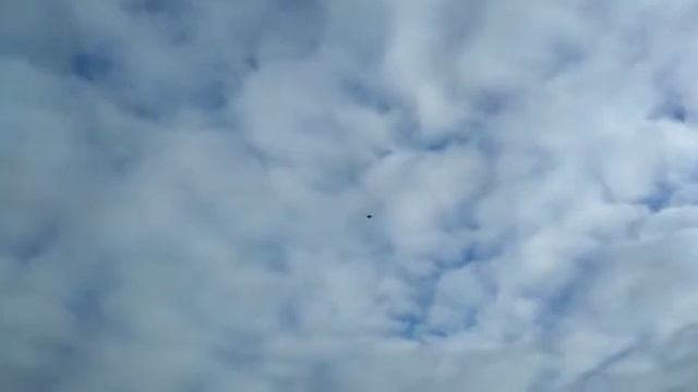 турецкая такла , столбовая игра смотреть онлайн