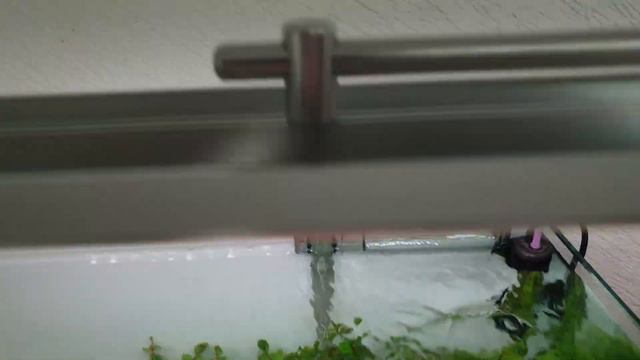 Aquário Plantado 02/05/2022 смотреть онлайн