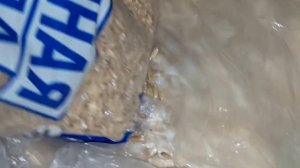 как я делаю корм для канареек