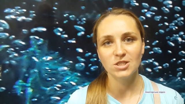 Міжнародний турнір з карате «INTERNATIONAL DOJO CUP 2018» відбувся у Житомирі смотреть онлайн