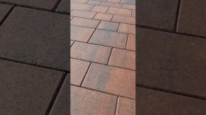 КАК ПРИДАТЬ ТРОТУАРНОЙ ПЛИТКЕ  НАСЫЩЕННЫЙ ЯРКИЙ ЦВЕТ, И УДАЛИТЬ ВЫСОЛЫ. #брусчатка #гидрофобизатор