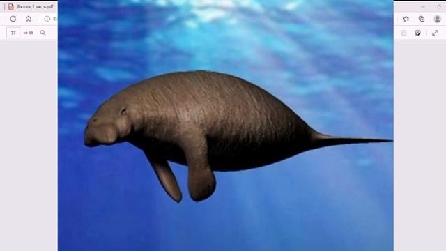 Русский язык 4 класс урок 47. Почему надо охранять природу? Орыс тілі 4 сынып 47 сабақ. смотреть онлайн