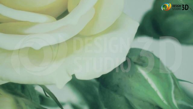 3D Фотообои "Бежевая роза" смотреть онлайн