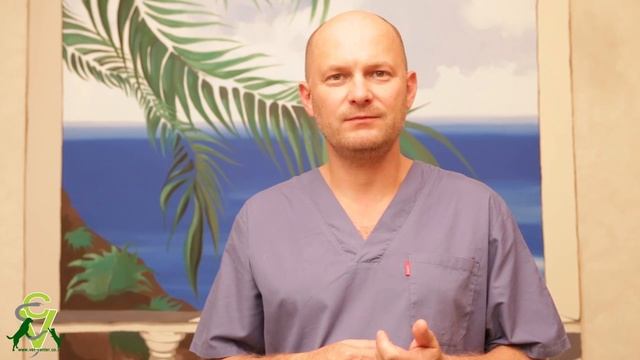 Почему собака плохо пахнет? 052-2506596 смотреть онлайн