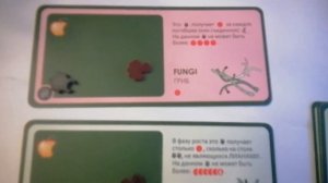 Как играть в настольную игру эволюцию случайные мутации и эволюцию растения. Особые правила