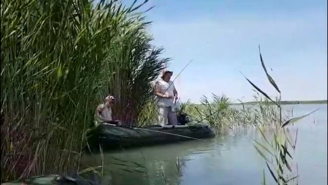 Рыбалка в Казахстане Озеро Балхаш Июнь Бонус в конце видео смотреть онлайн