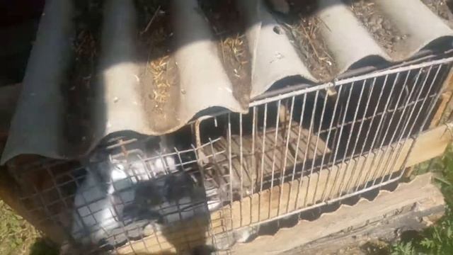 Ремонт частного дома смотреть онлайн