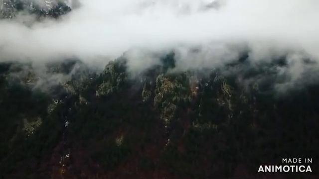 Miyagi & Andy Panda - Там Ревели Горы смотреть онлайн