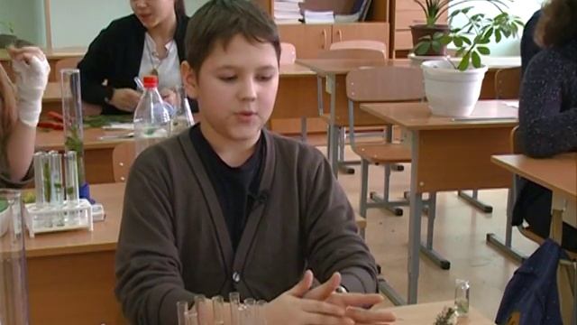 В Красноярской школе открыли кружок парфюмерного дела смотреть онлайн