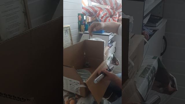 Ещё подарок от любящей супруги для своего Султана смотреть онлайн