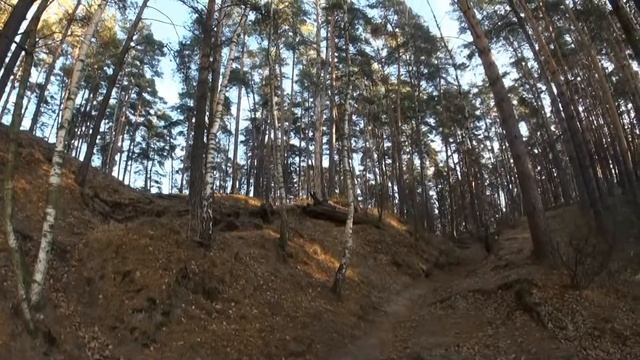 Лесопарк, Барвиха, Рублево-Успенское шоссе смотреть онлайн