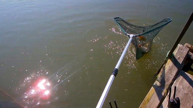 ИТОГИ 2019 рыболовного сезона смотреть онлайн