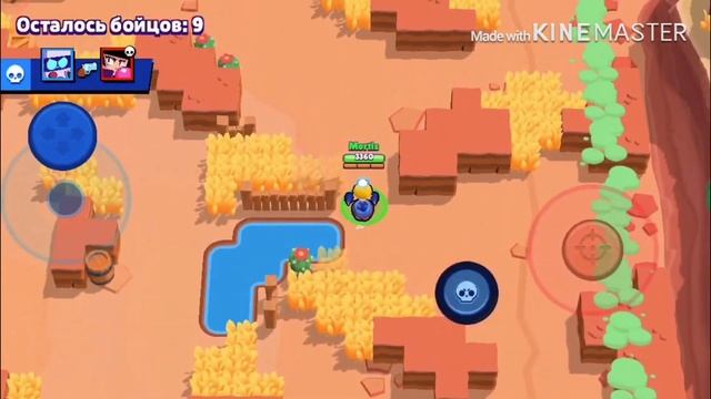 Питаюсь уколоться об кактус смотреть онлайн