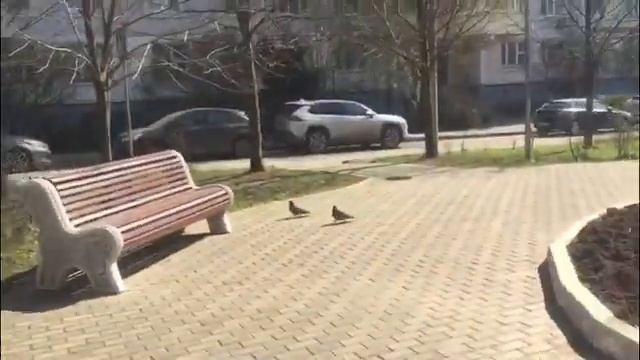 МОСКОВСКИЕ ДВОРИКИ район ЮЖНОЕ БУТОВО смотреть онлайн