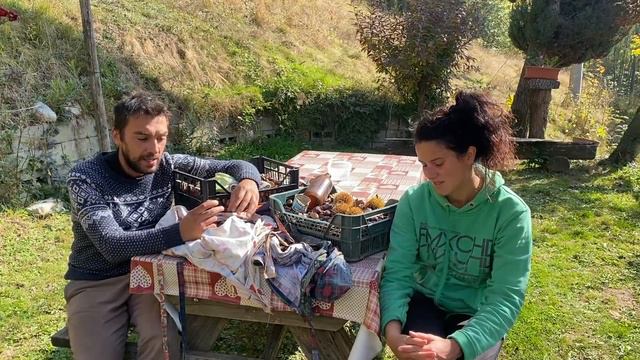 Com'è stata prima raccolta delle castagne 2021? - Ep.236 - Vita in Montagna смотреть онлайн