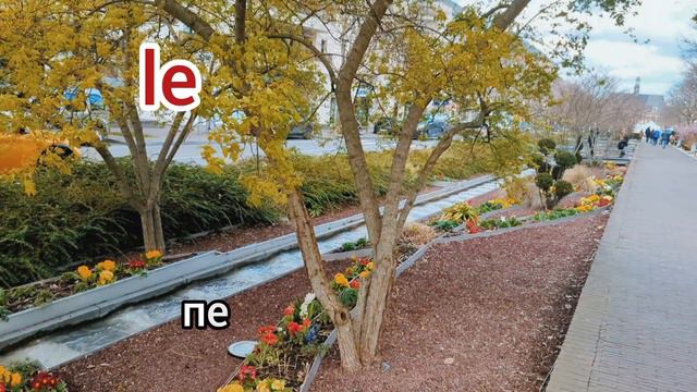 French-Russian dictionary. Французско-русский словарь. Part 1 смотреть онлайн