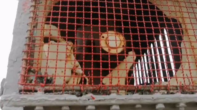 Еду в Волгоград! Посещение памятников!!! смотреть онлайн