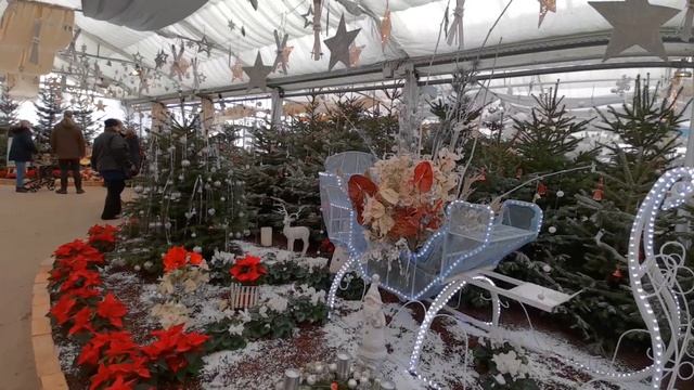 Потрясающая Рождественская экспозиция в Blumengärten Hirschstetten Вена Австрия смотреть онлайн