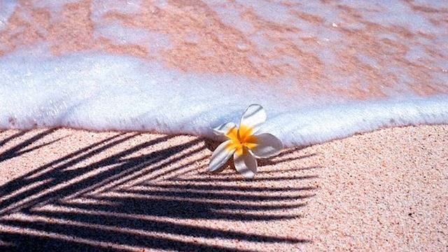 Берег твой - С.В. Челобанов смотреть онлайн