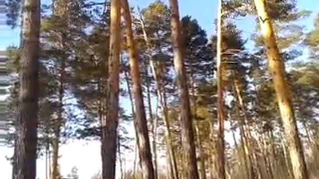 Женские болезни. смотреть онлайн