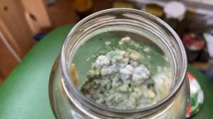 Лёгкий способ вырастить триходерму! Получится даже у новичка.