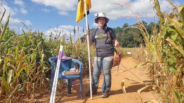 Orientation Video for the Amazing Maize Maze смотреть онлайн