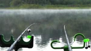 Нервным лучше не смотреть.МОЩНЫЕ ПОКЛЕВКИ ЛЕЩА. рыбалка 2023. Рыбалка с ночевкой