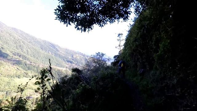 Descent from Blue Mountain Peak, Jamaica смотреть онлайн