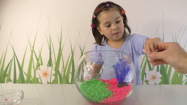 Рыбка петушок питомец Ангелы в новом аквариуме смотреть онлайн