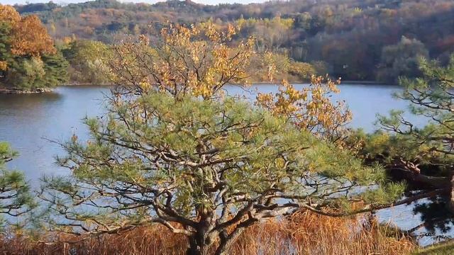 Мой выходной.Обзор Ю.Кореи. (поздняя осень). #2 смотреть онлайн