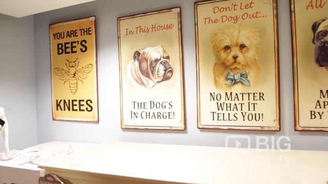 Sass and Belle a Retail Stores in London offering Homeware and Decor смотреть онлайн