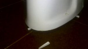 Как приклеить унитаз и биде к плитке