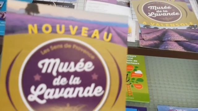 ЛАВАНДОВЫЕ ПОЛЯ/МИСТИКА/ЭТО ПРОВАНС, ДЕТКА/LAVANDER смотреть онлайн