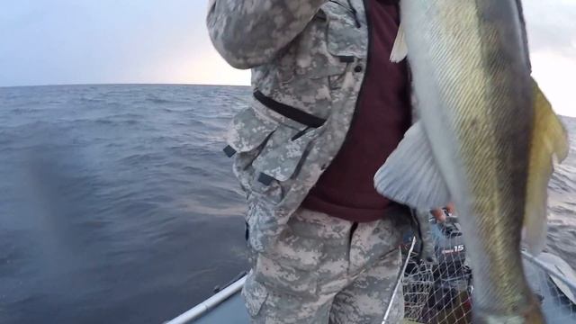 Кто куда а мы на рыбалку 14.07.2016 смотреть онлайн