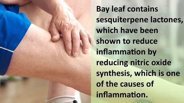 If You Drink Bay Leaf Tea For 2 Weeks, This Will Happen To Your Body смотреть онлайн
