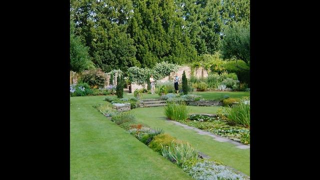 Какой газон посадить смотреть онлайн