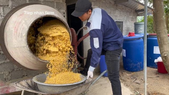How to make simple probiotics at home - applying probiotics in poultry farming. смотреть онлайн