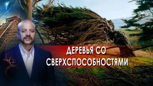 Деревья со сверхспособностями | Загадки человечества с Олегом Шишкиным (08.10.21).