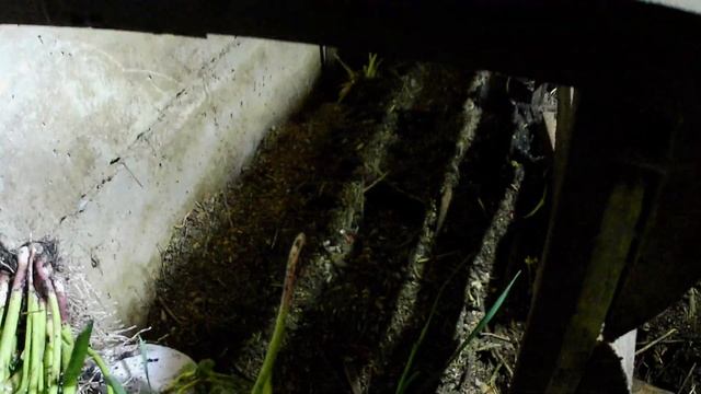 Вермикомпостер своими руками. Ленивая технология вермикомпостирования в домашних условиях смотреть онлайн