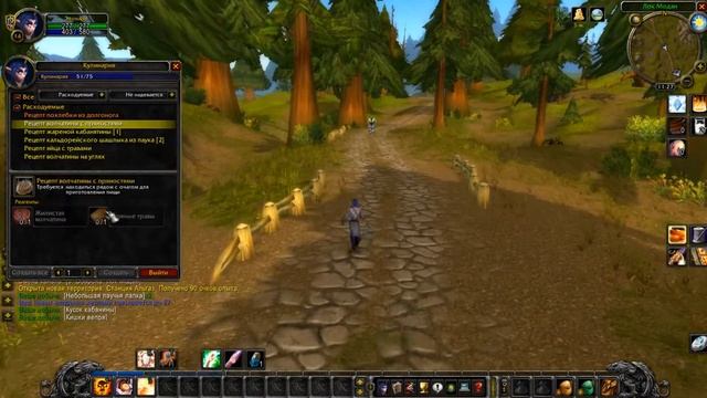 World of Warcraft: Classic. #9. Путешествие из Дарнаса в Штормград смотреть онлайн