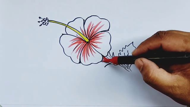 ৫ ডট দিয়ে জবা ফুল আঁকুন খুব সহজে | ছবি আঁকার সহজ উপায় l ছবি আঁকা смотреть онлайн