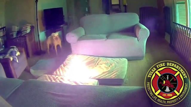 Американская собака сожгла дом, потому что жевала устройство с аккумулятором смотреть онлайн