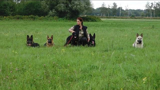 Догтренинг 2019 – фото моменты. Как это было