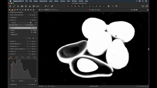 How to export layer mask from Capture One to Photoshop смотреть онлайн