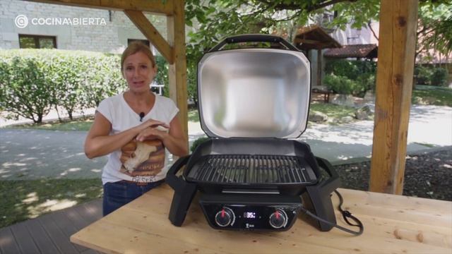 Review: Barbacoa ELÉCTRICA Pulse 2000 de Weber смотреть онлайн