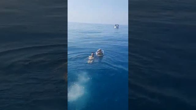 адлер рыбалка смотреть онлайн